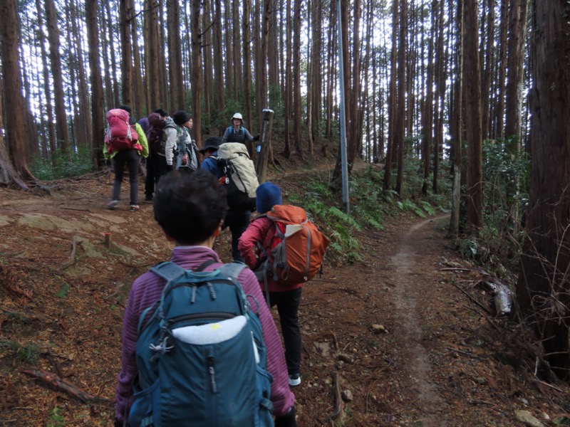 日和田山、物見山